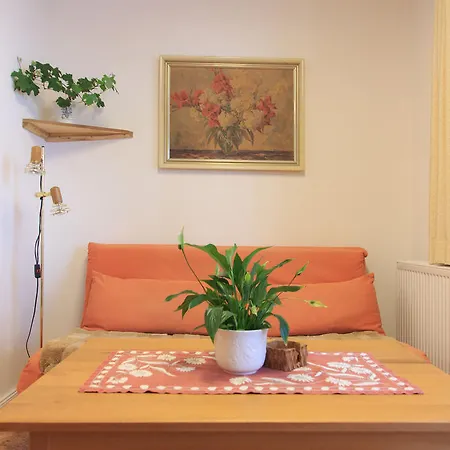 Apartment Alte Apotheke