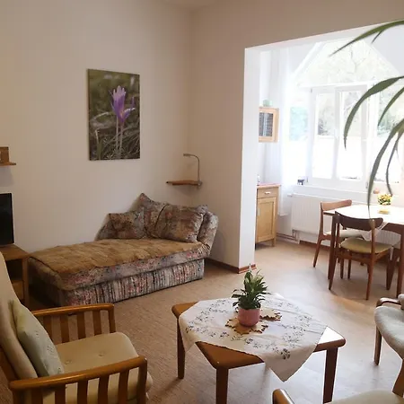 Alte Apotheke Apartment *